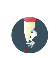Bite bumpers 1.png